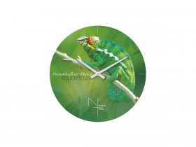 Часы настенные Nicole Time NT503 в Кудряшовском - kudryashovskij.mebel-nsk.ru | фото